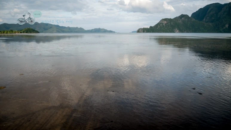 _1010704_Wide1080mark%EB%B0%94%EB%9E%8C%ED%83%80%EA%B3%A0.jpg?type=w773