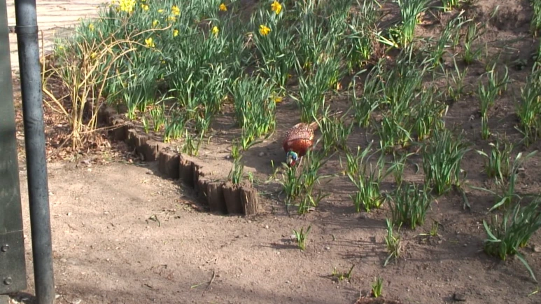 %B9%CE%BD%BA%B9%CC%BE%EE_%B2%E61.png?type=w773