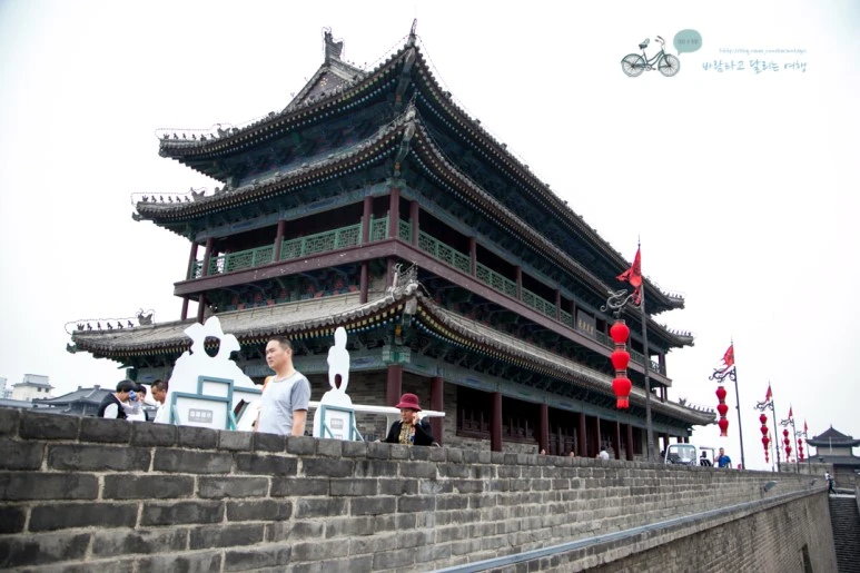 IMG_0281_Wide1080mark%EB%B0%94%EB%9E%8C.jpg?type=w773