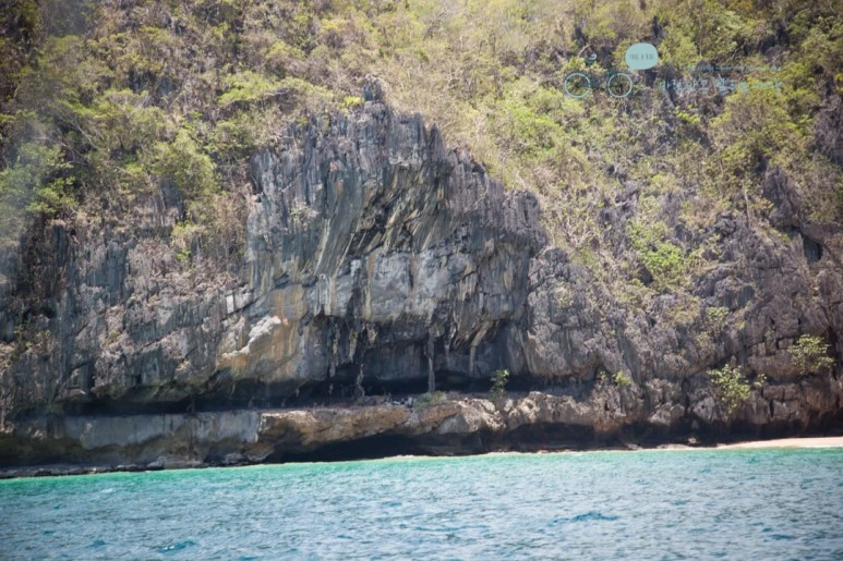 IMG_2037_Wide1080mark%EB%B0%94%EB%9E%8C%ED%83%80%EA%B3%A0.jpg?type=w773