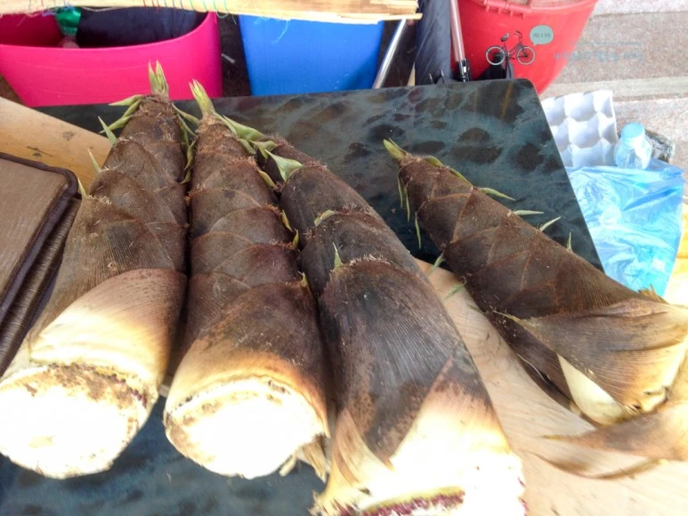 IMG_2071_Wide1080mark%EB%B0%94%EB%9E%8C.jpg?type=w773