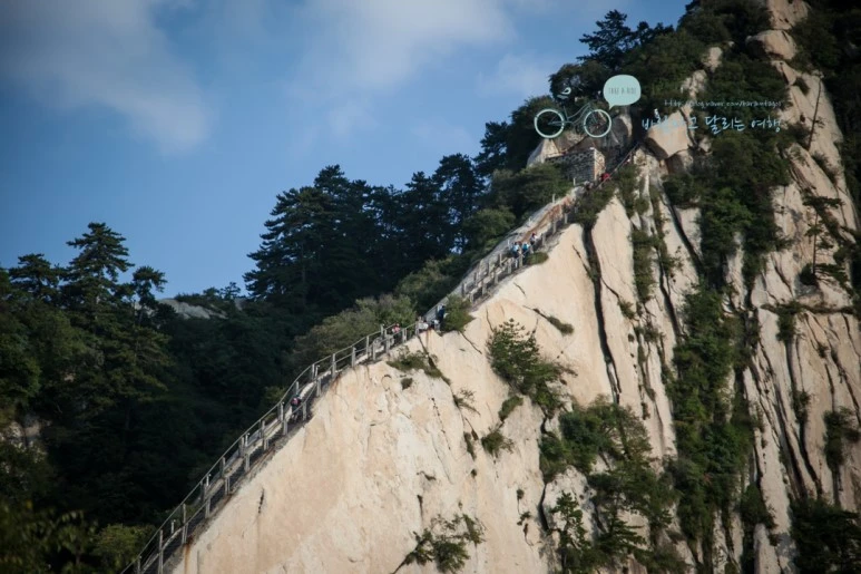 IMG_0401_Wide1080_mark%EB%B0%94%EB%9E%8C.jpg?type=w773