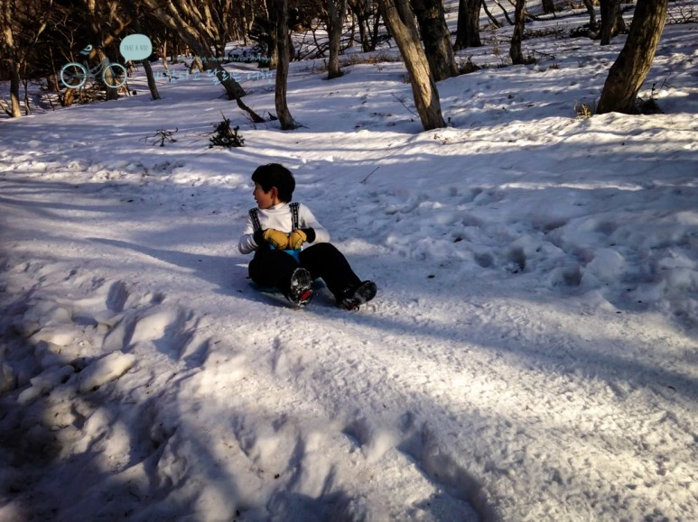 IMG_2683.jpg?type=w773