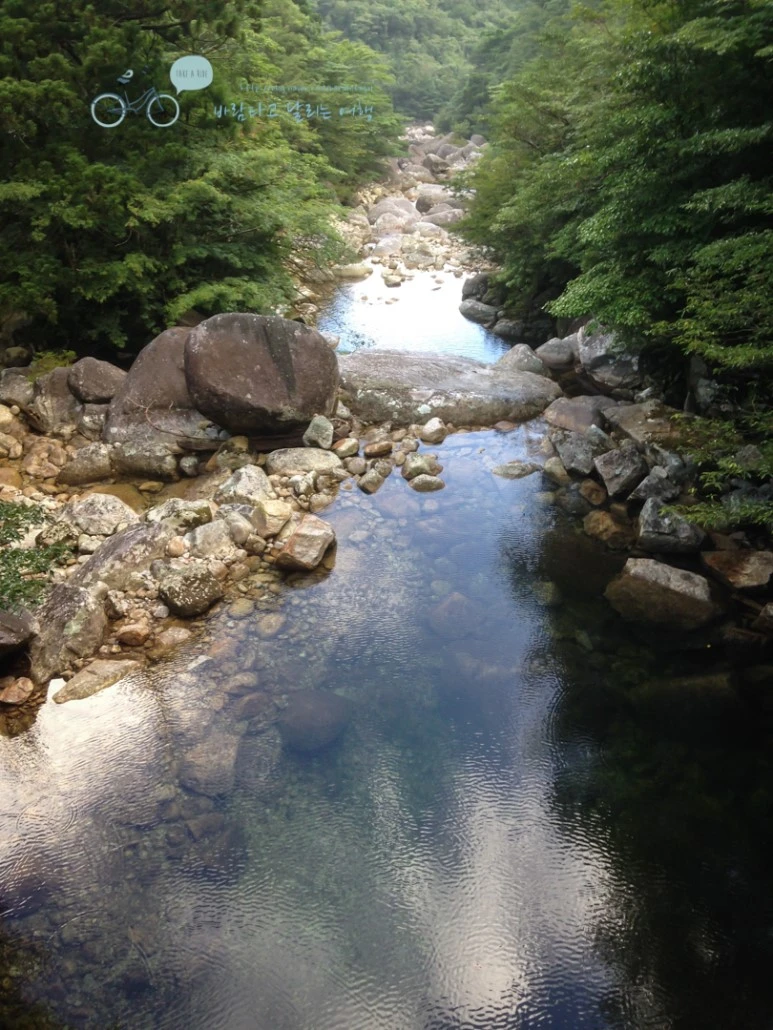 IMG_1262_wide1080.jpg?type=w773