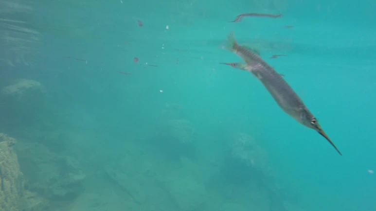 %EC%8A%A4%ED%81%AC%EB%A6%B0%EC%83%B7_2017-07-04_10.15.01.png?type=w773