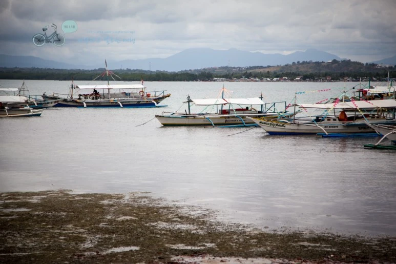 IMG_1690_Wide1080mark%EB%B0%94%EB%9E%8C%ED%83%80%EA%B3%A0.jpg?type=w773