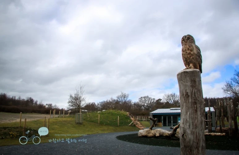 IMG_3202.jpg?type=w773