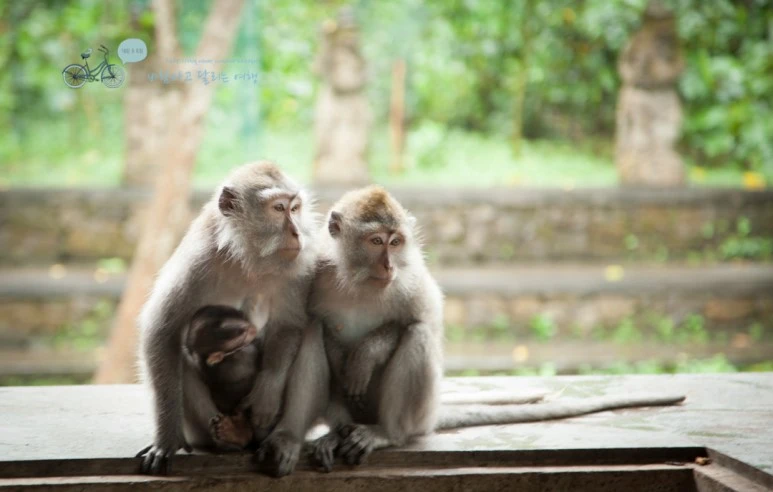 IMG_0230_Wide1080mark%EB%B0%94%EB%9E%8C%ED%83%80%EA%B3%A0-2.jpg?type=w773