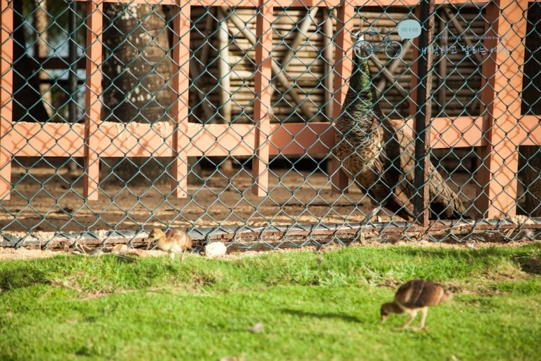 IMG_1796_wide1080%EB%B0%94%EB%9E%8Cmark.jpg?type=w773