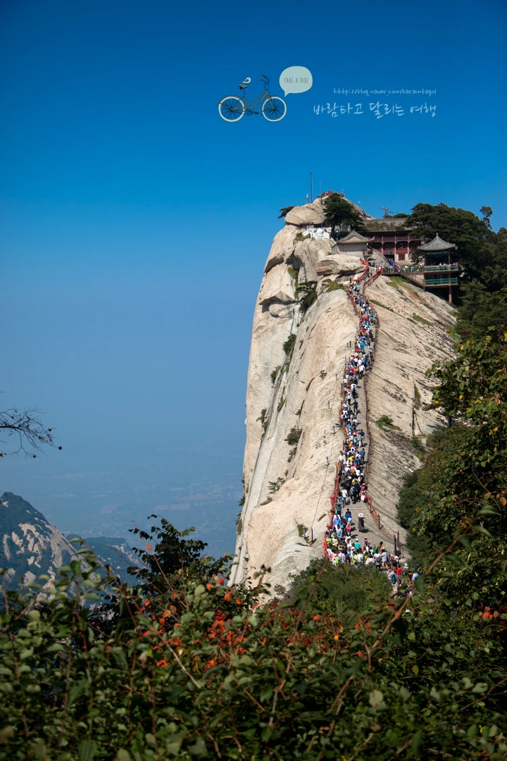 IMG_0175_Wide1080_mark%EB%B0%94%EB%9E%8C.jpg?type=w773