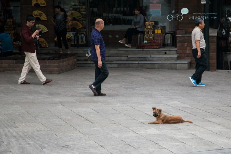 IMG_0175_Wide1080mark%EB%B0%94%EB%9E%8C.jpg?type=w773