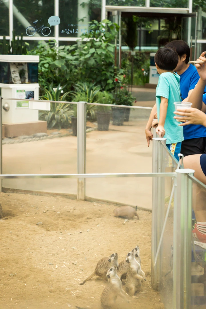 DSC03619_wide1080mark.jpg?type=w773