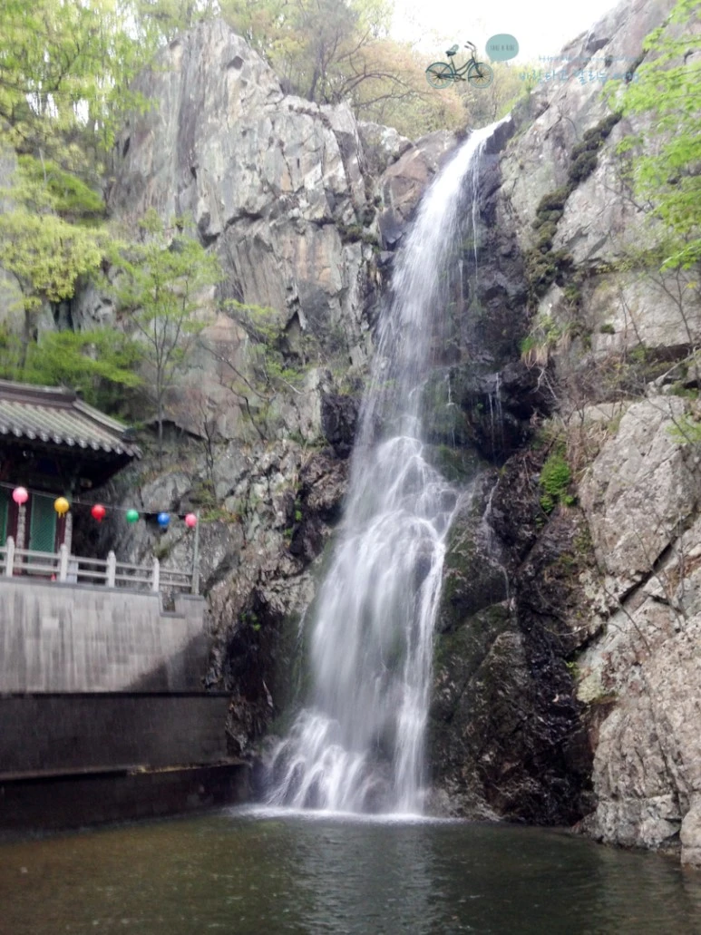 IMG_2093_Wide1080mark%EB%B0%94%EB%9E%8C.jpg?type=w773