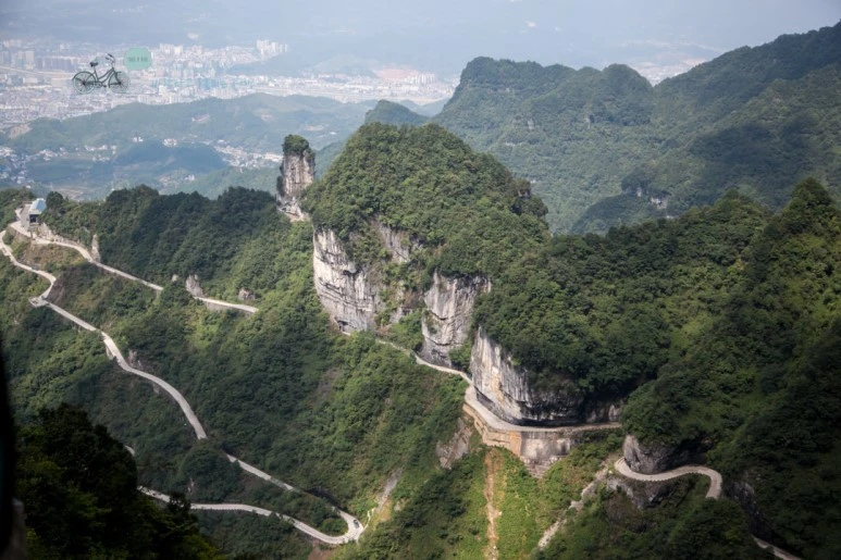 IMG_0562_Wide1080mark%EB%B0%94%EB%9E%8C.jpg?type=w773