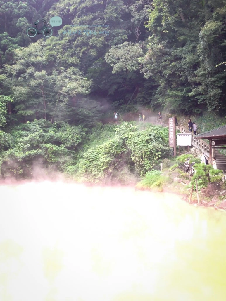 IMG_8160_wide1080mark.jpg?type=w773