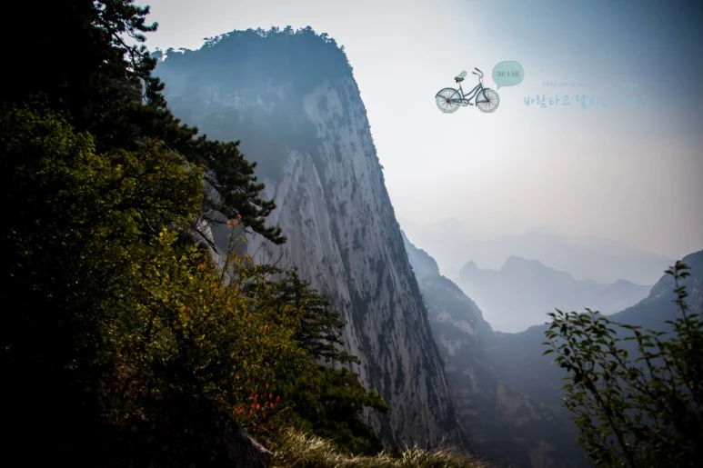 IMG_0354_Wide1080_mark%EB%B0%94%EB%9E%8C.jpg?type=w773