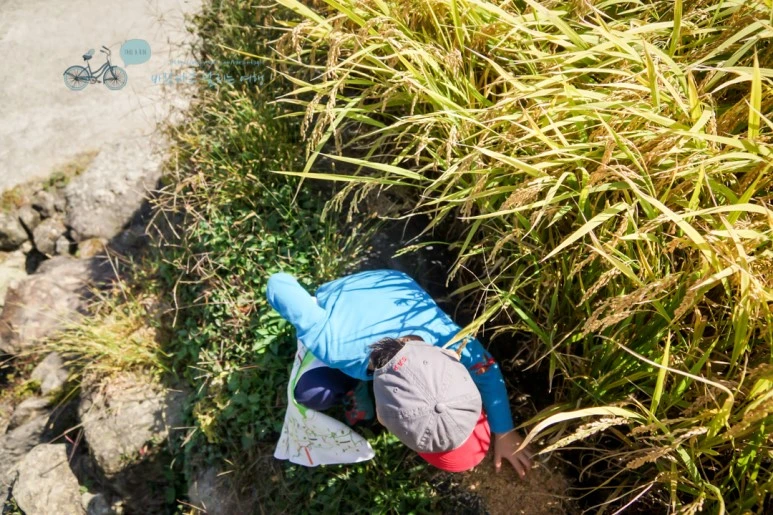 DSC04956_wide1080mark.jpg?type=w773