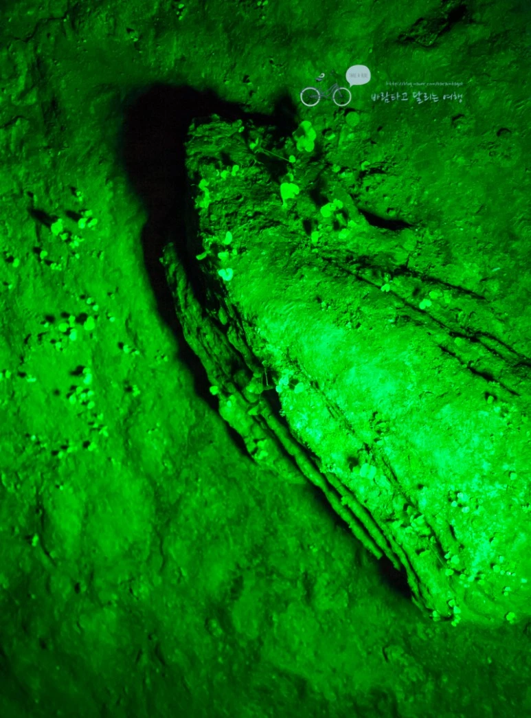 IMG_1178_Wide1080mark%EB%B0%94%EB%9E%8C.jpg?type=w773