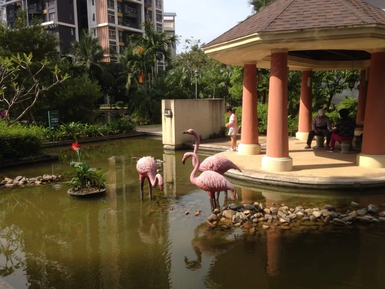 IMG_2677.JPG?type=w773