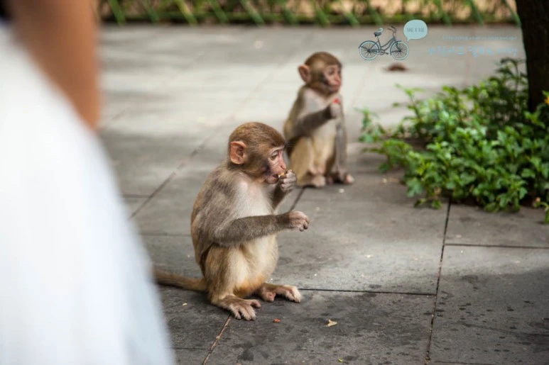 IMG_1273_wide1080%EB%B0%94%EB%9E%8Cmark.jpg?type=w773