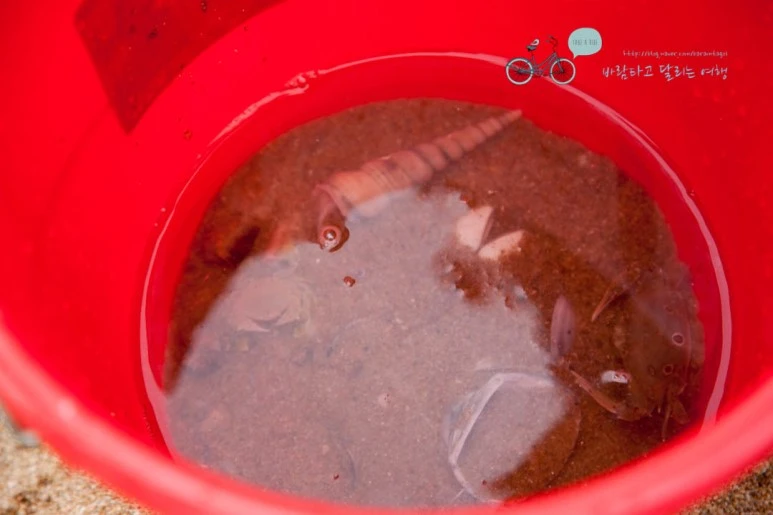 IMG_1158_wide1080%EB%B0%94%EB%9E%8Cmark.jpg?type=w773