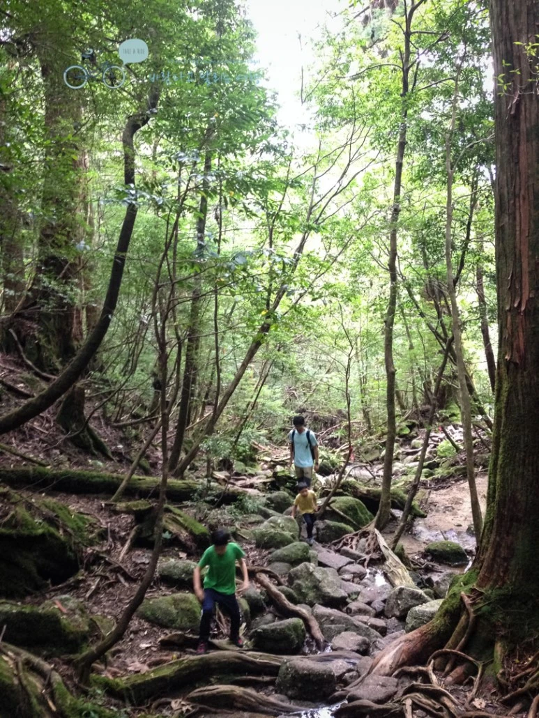 IMG_7949_wide1080mark.jpg?type=w773