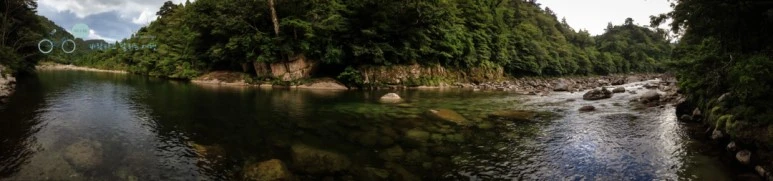 IMG_1511_wide1080.jpg?type=w773