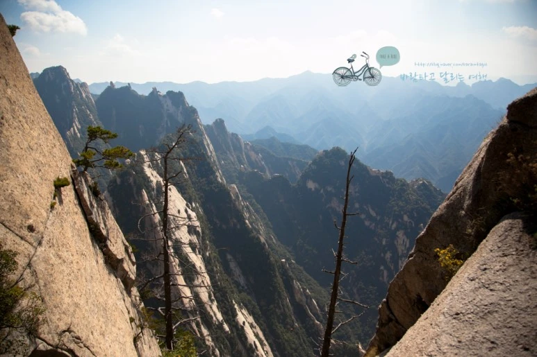 IMG_0187_Wide1080_mark%EB%B0%94%EB%9E%8C.jpg?type=w773