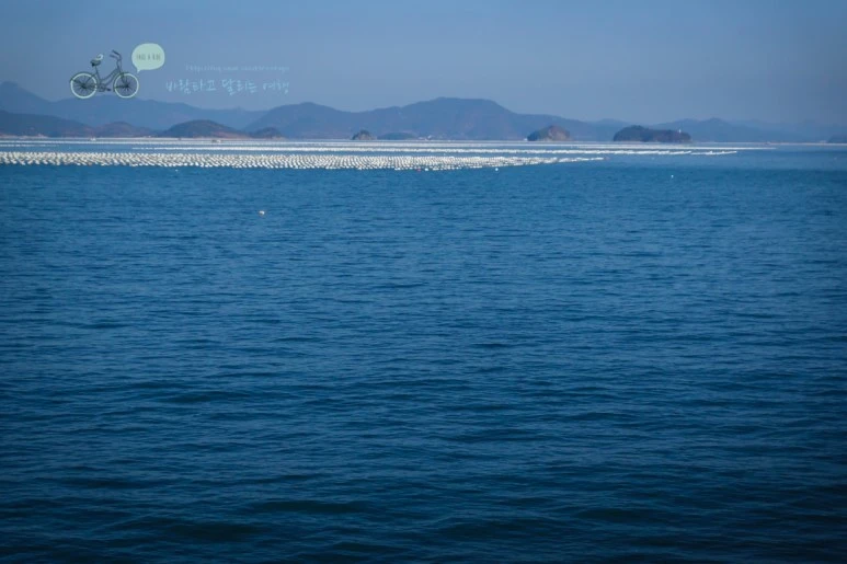 DSC06171_wide1080mark.jpg?type=w773