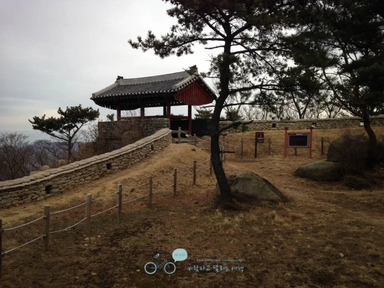 IMG_1313-_Wide1080mark%EB%B0%94%EB%9E%8C.jpg?type=w773