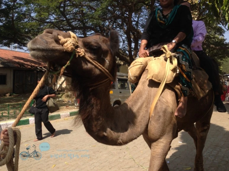 IMG_2852.jpg?type=w773