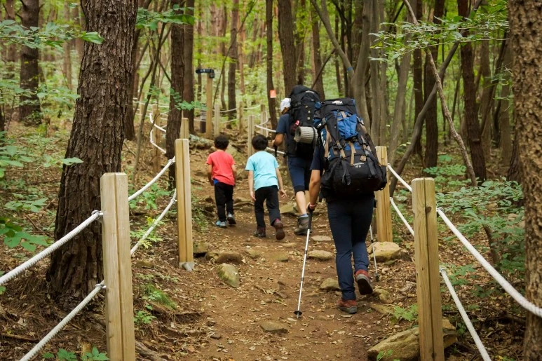 DSC04354_Edit.jpg?type=w773