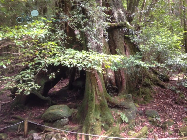 IMG_1289_wide1080.jpg?type=w773