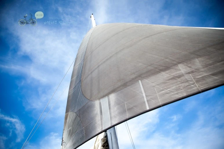 IMG_0171_Wide1080mark%EB%B0%94%EB%9E%8C%ED%83%80%EA%B3%A0-2.jpg?type=w773