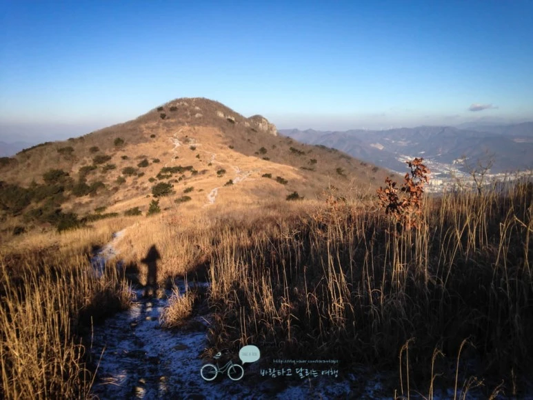 IMG_1398-_Wide1080mark%EB%B0%94%EB%9E%8C.jpg?type=w773