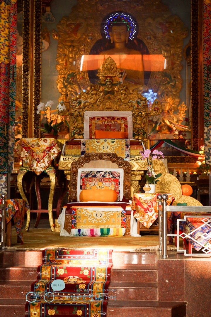 DSC00122.jpg?type=w773