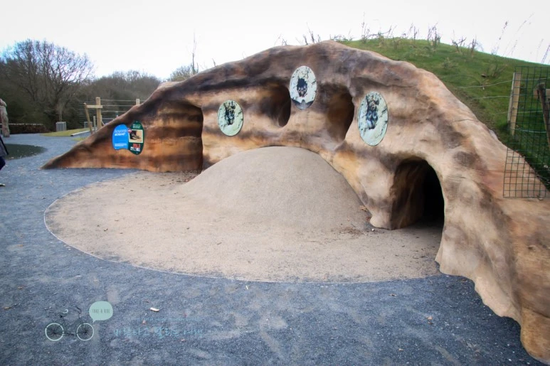 IMG_3192.jpg?type=w773