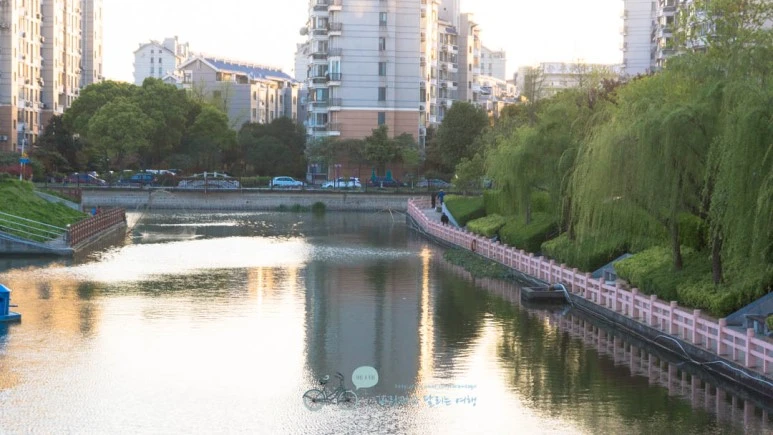 DSC04855_wide1080mark%EB%B0%94%EB%9E%8C.jpg?type=w773