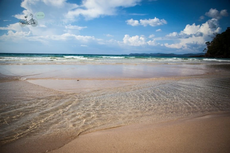 IMG_2263_Wide1080mark%EB%B0%94%EB%9E%8C%ED%83%80%EA%B3%A0.jpg?type=w773