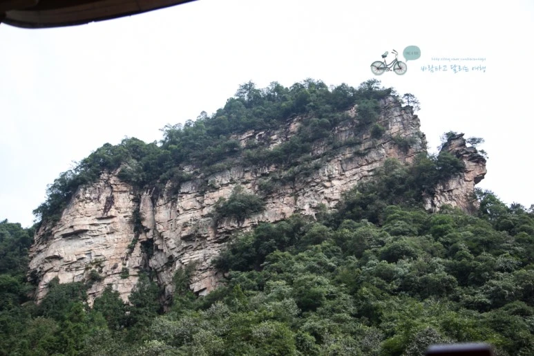 IMG_1405_Wide1080mark%EB%B0%94%EB%9E%8C.jpg?type=w773