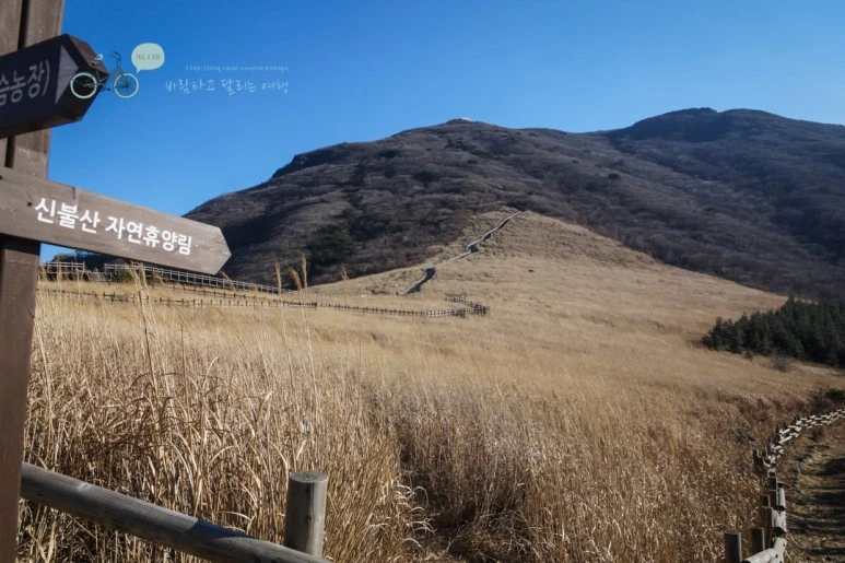 DSC04519_wide1080mark.jpg?type=w773