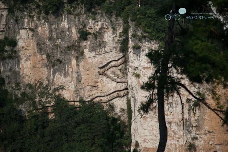 IMG_0658_Wide1080mark%EB%B0%94%EB%9E%8C.jpg?type=w773