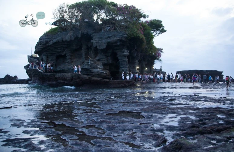 IMG_0448_Wide1080mark%EB%B0%94%EB%9E%8C%ED%83%80%EA%B3%A0.jpg?type=w773