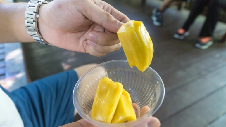 DSC05825_wide1080mark%EB%B0%94%EB%9E%8C.jpg?type=w773