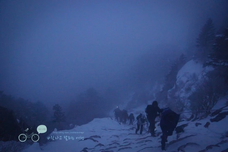 DSC00183.jpg?type=w773