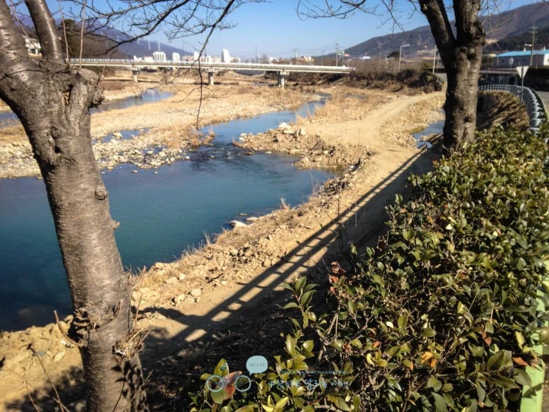 IMG_1681-_Wide1080mark.jpg?type=w773