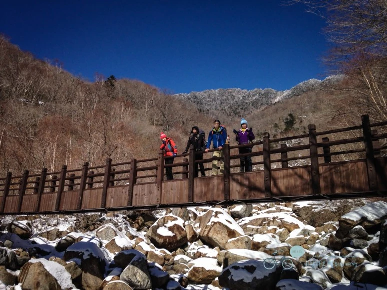 IMG_2904_Wide1080Watermark.jpg?type=w773