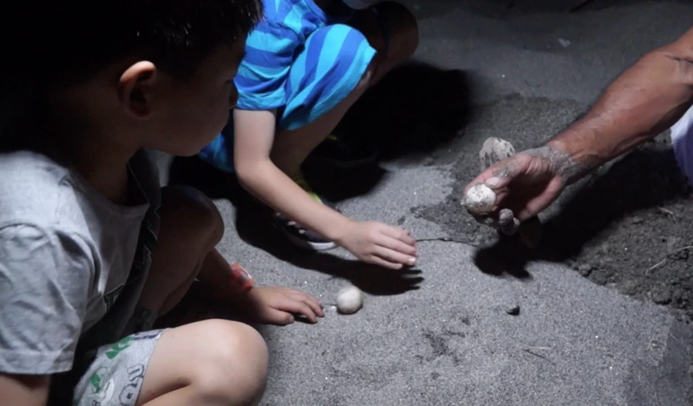 %EC%8A%A4%ED%81%AC%EB%A6%B0%EC%83%B7_2017-02-03_11.27.08.png?type=w773