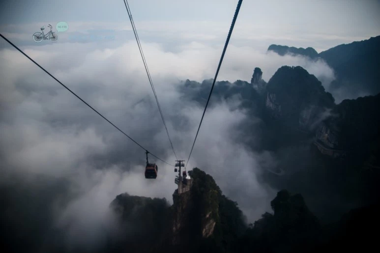 IMG_0085_Wide1080mark%EB%B0%94%EB%9E%8C.jpg?type=w773