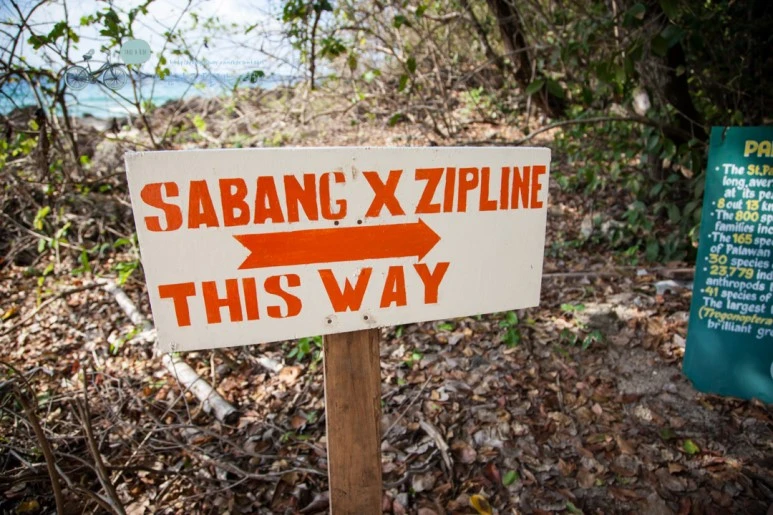 IMG_2265_Wide1080mark%EB%B0%94%EB%9E%8C%ED%83%80%EA%B3%A0.jpg?type=w773